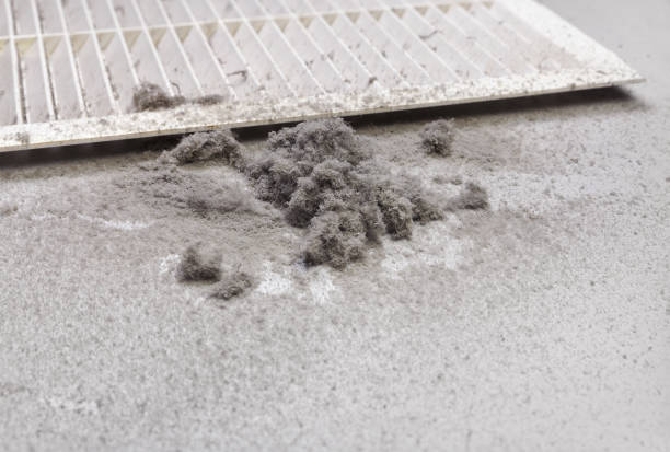 Best Duct Cleaning Specialists  in Amarillo, TX